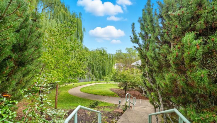 Pathway winding through greenery in an outdoor area