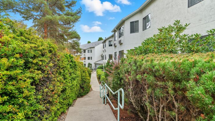 Pathway through greenery leading to buildings