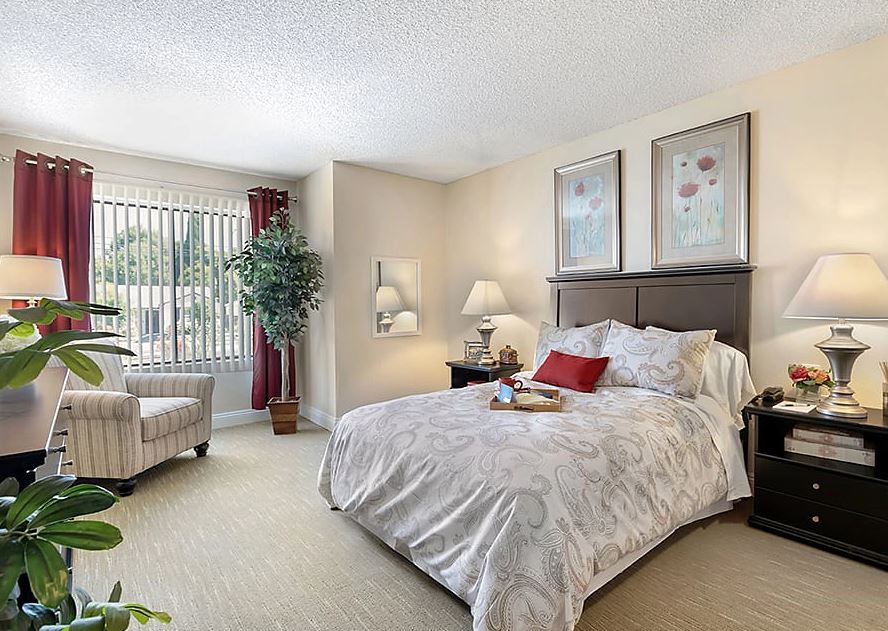 1 Bed