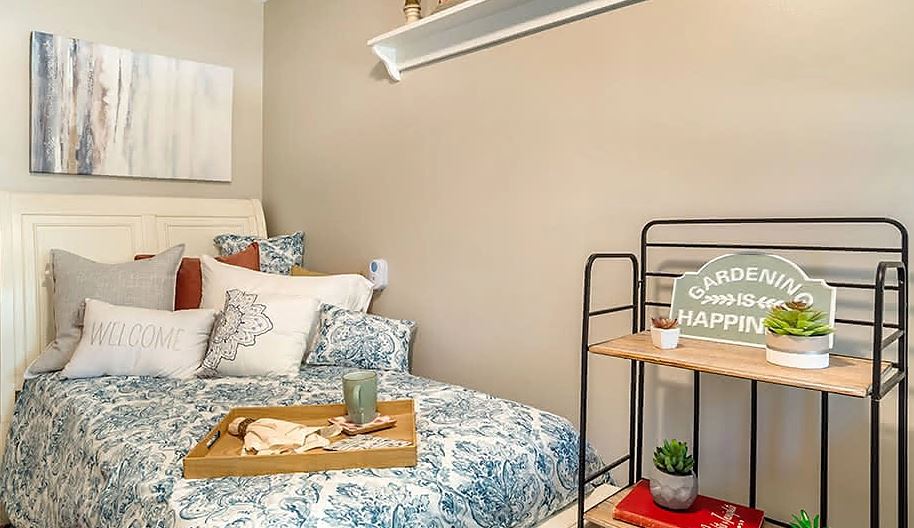 Shared Apartment