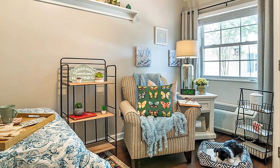 Shared Apartment