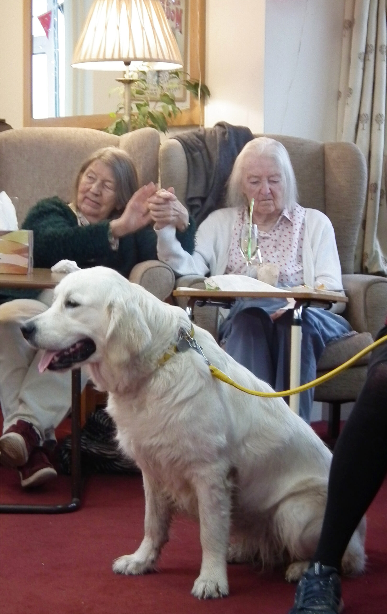Residents enjoying time with a therapy dog in a common area