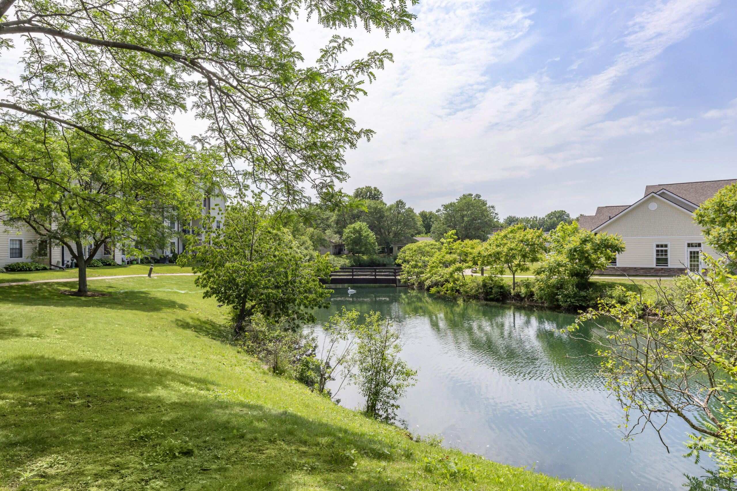Serene outdoor space with a pond and greenery