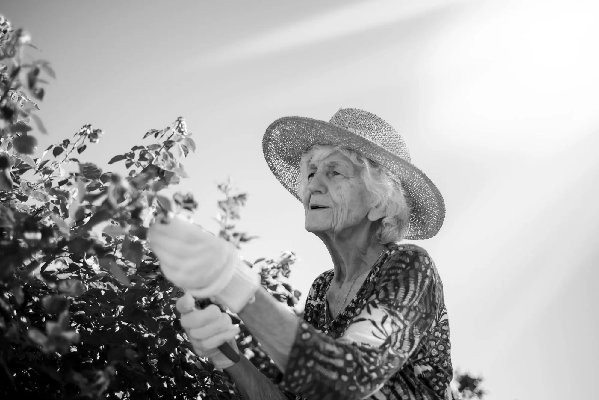 Elderly woman gardening in black and white