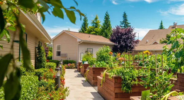 Garden pathway with raised vegetable beds