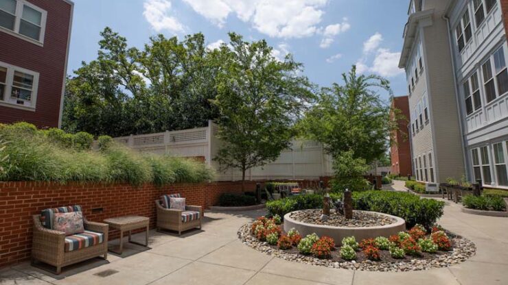 Outdoor space with seating and greenery