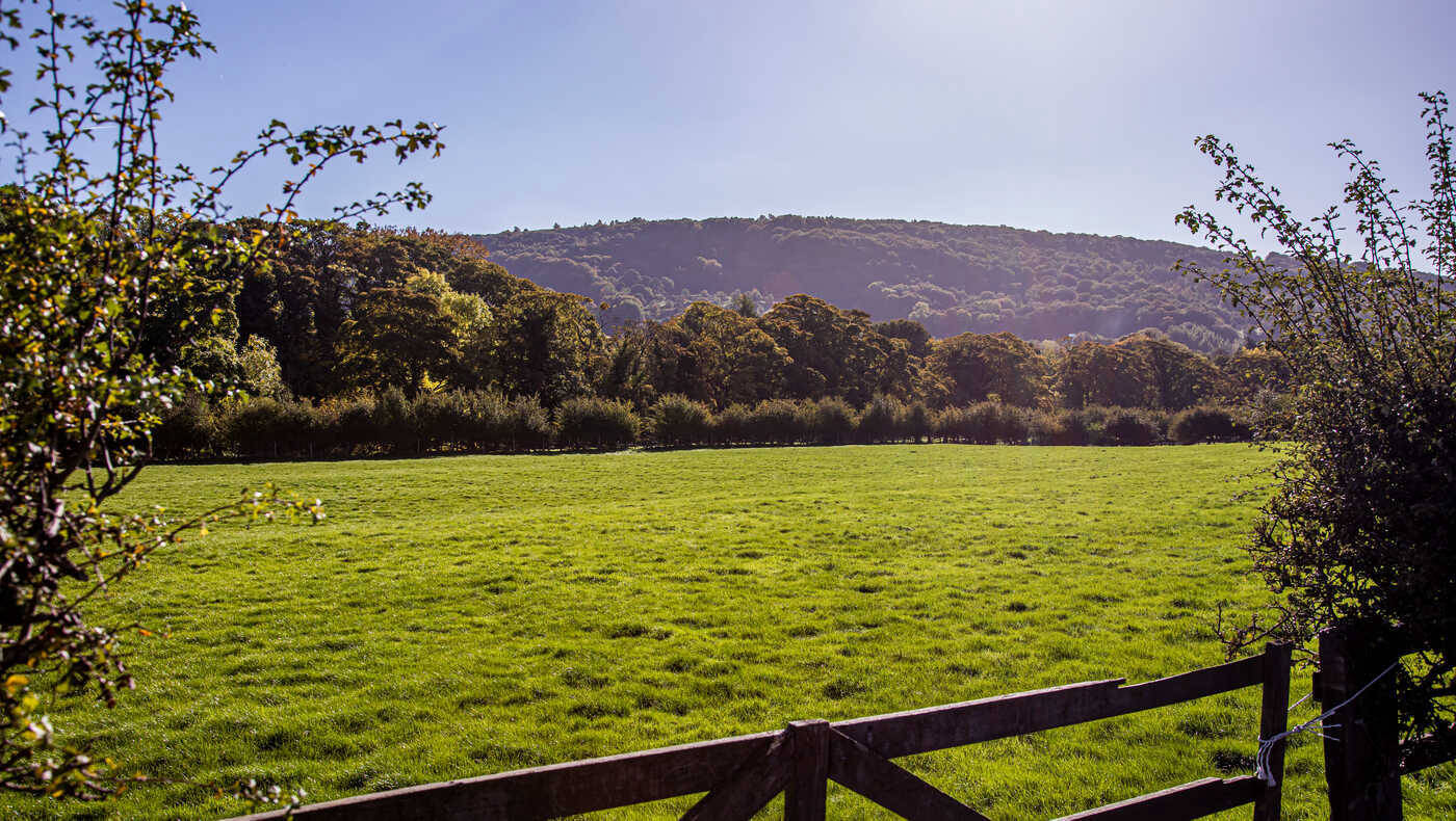 Scenic outdoor space with lush greenery and hills