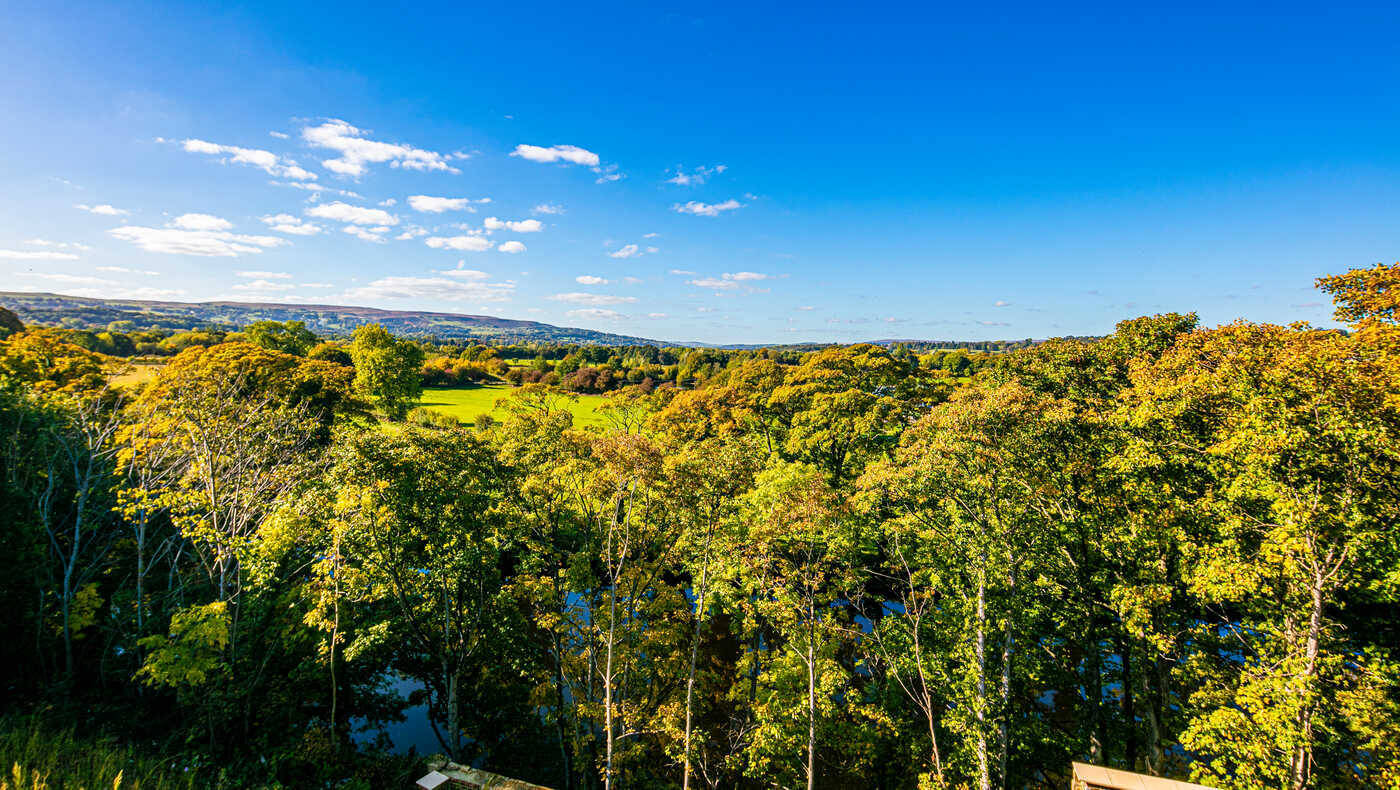 Scenic view of lush green landscape and blue sky