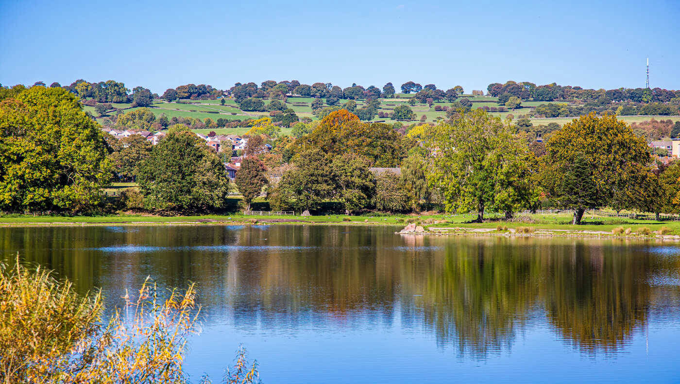 Peaceful view of a lake surrounded by trees