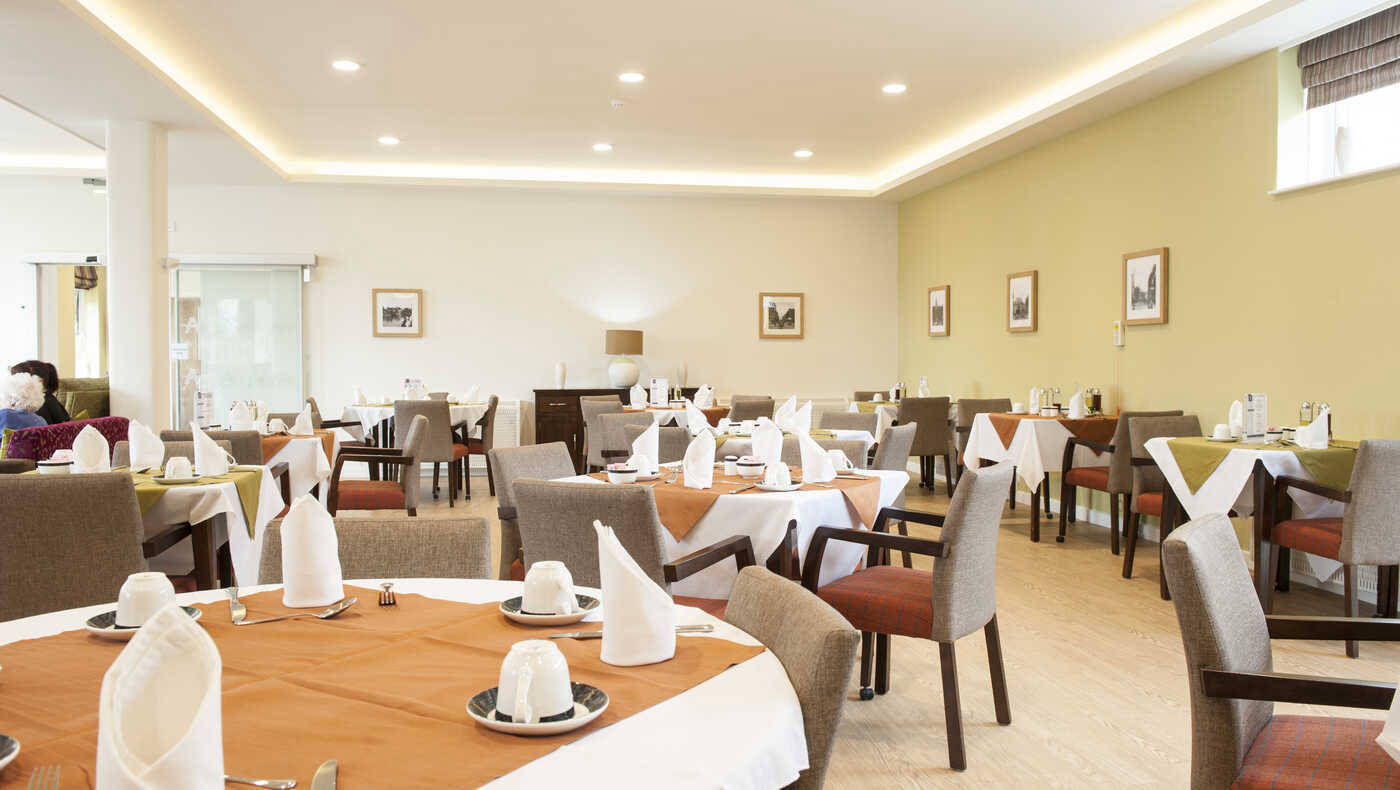 Bright dining room set for meal service