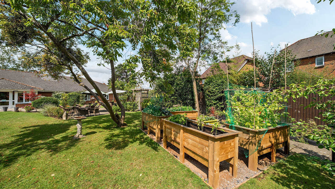 Lush garden space with raised planters and trees