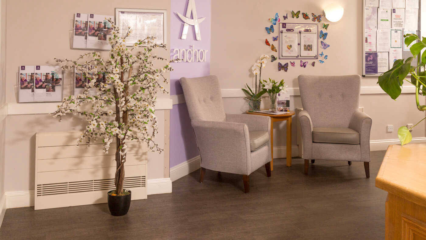 Cozy common area with armchairs and decorative tree