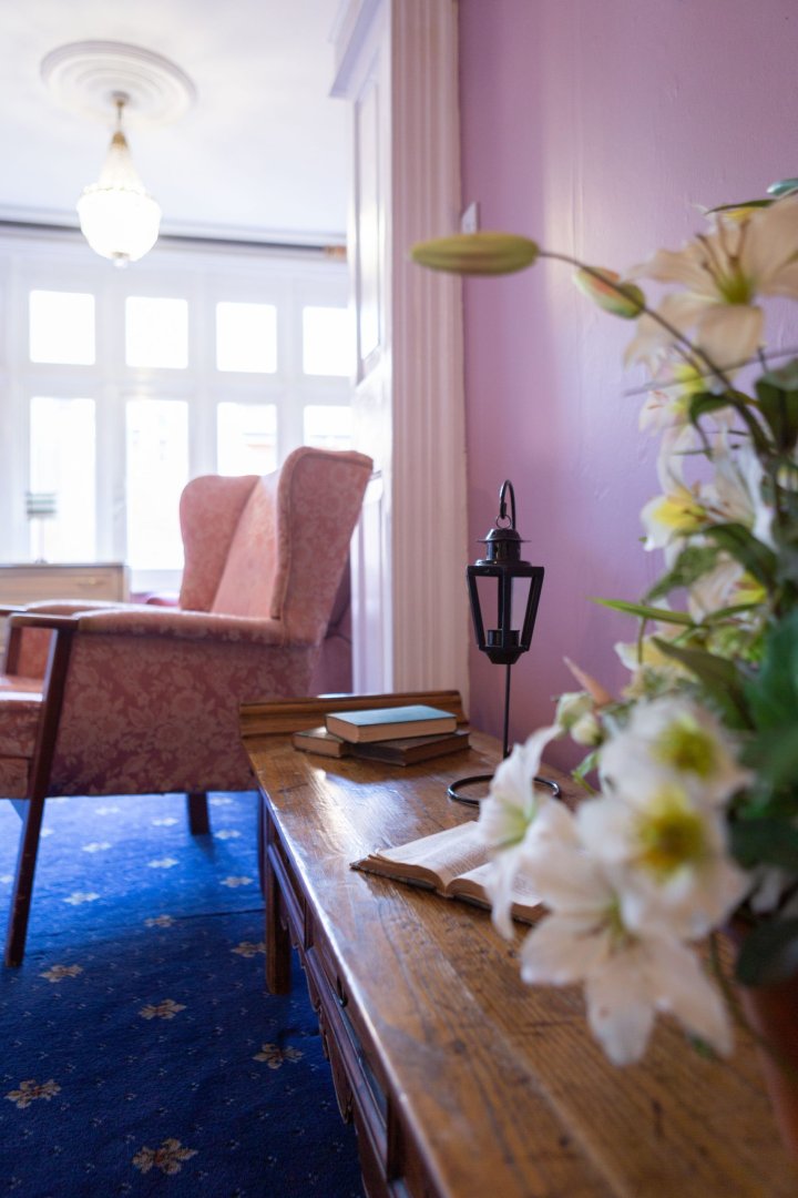 Cozy interior space with flowers and furniture