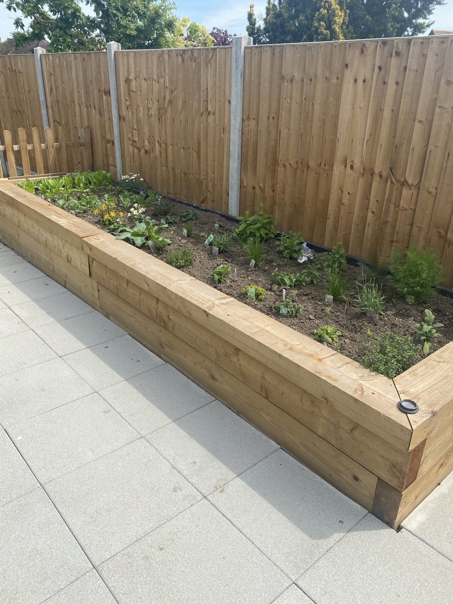 Raised garden bed with various plants.