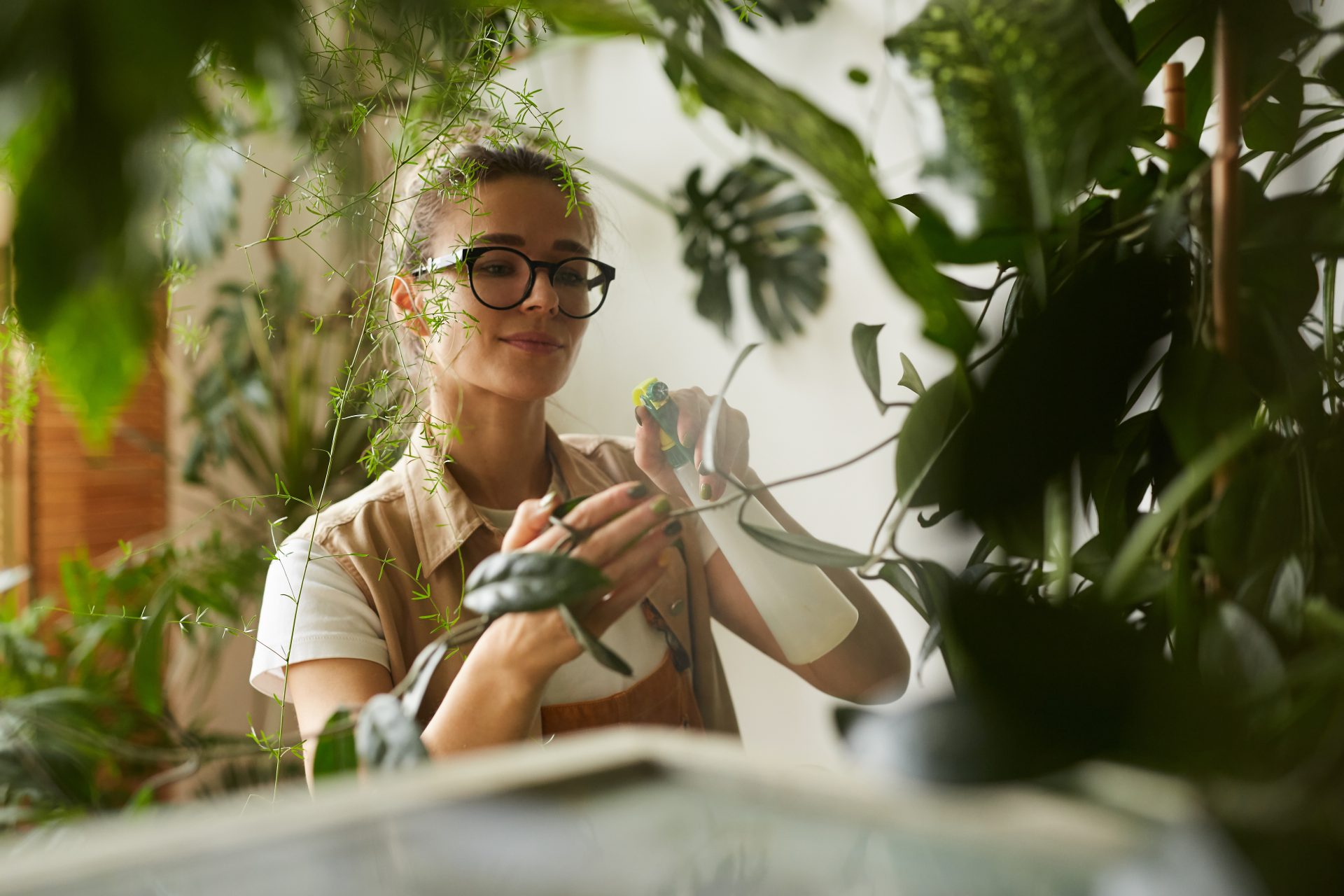 Staff member caring for indoor plants.
