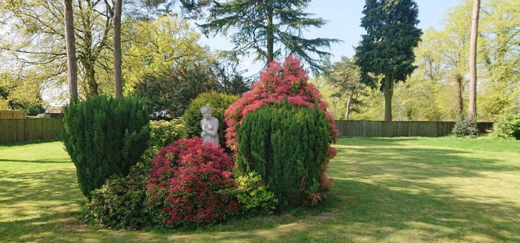 Beautiful garden with vibrant plants and statue