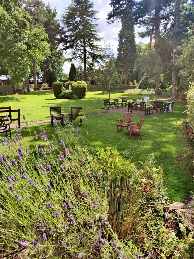 A peaceful garden area with seating
