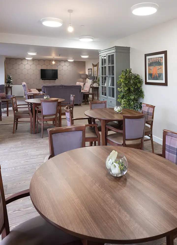 Dining area with modern tables and chairs