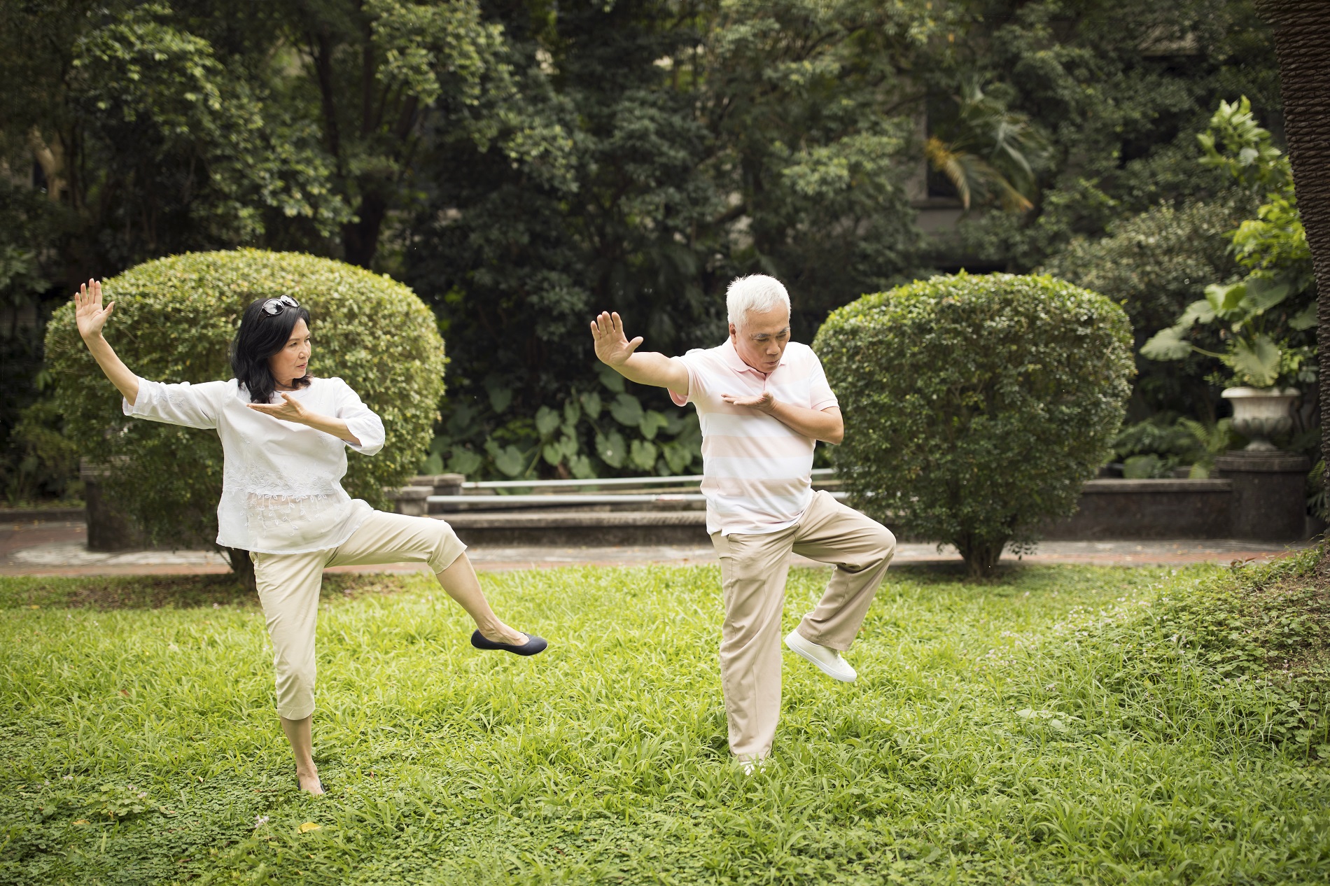 Two seniors practicing Tai Chi in a garden.
