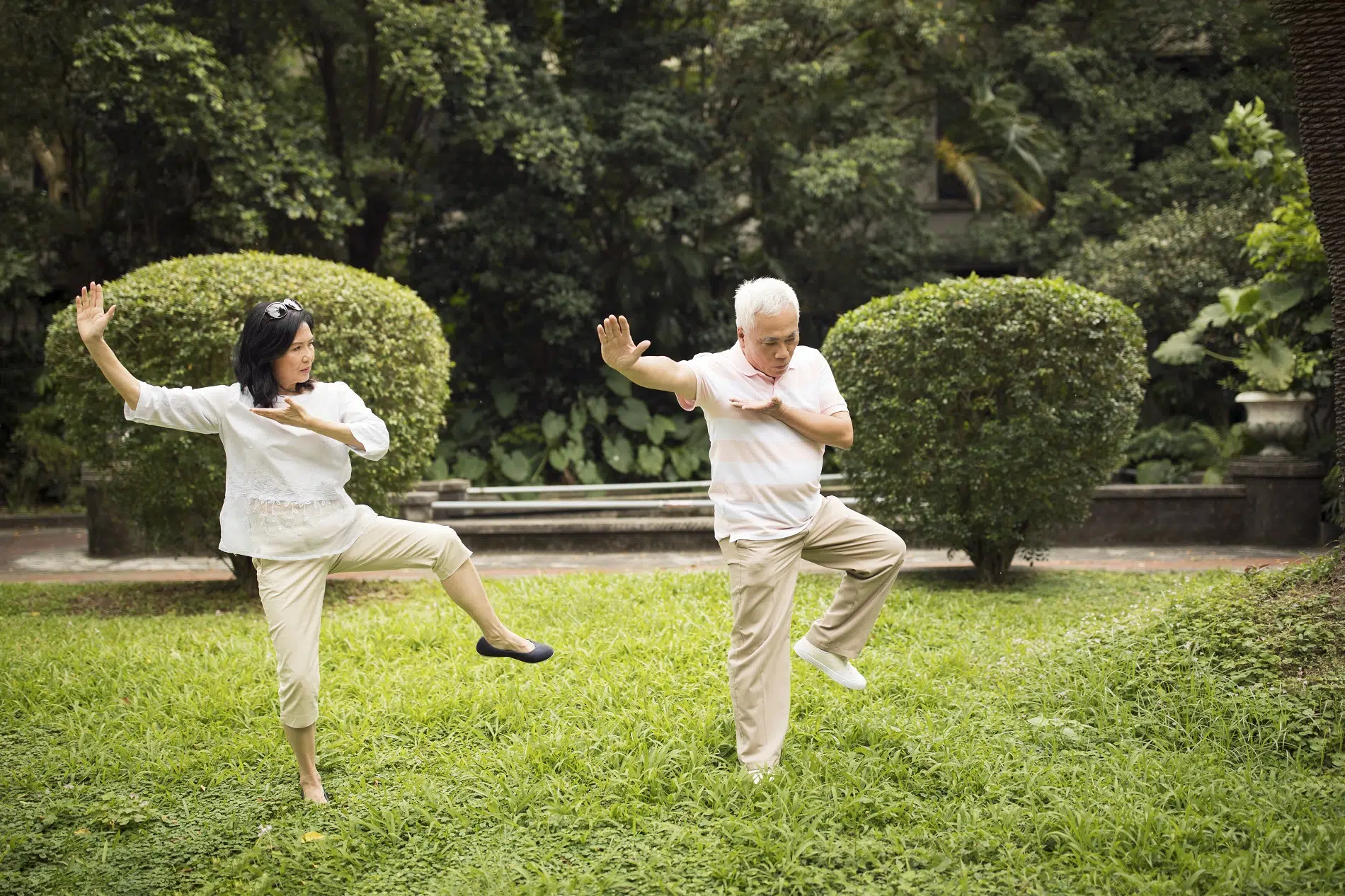 Two seniors practicing tai chi in a garden