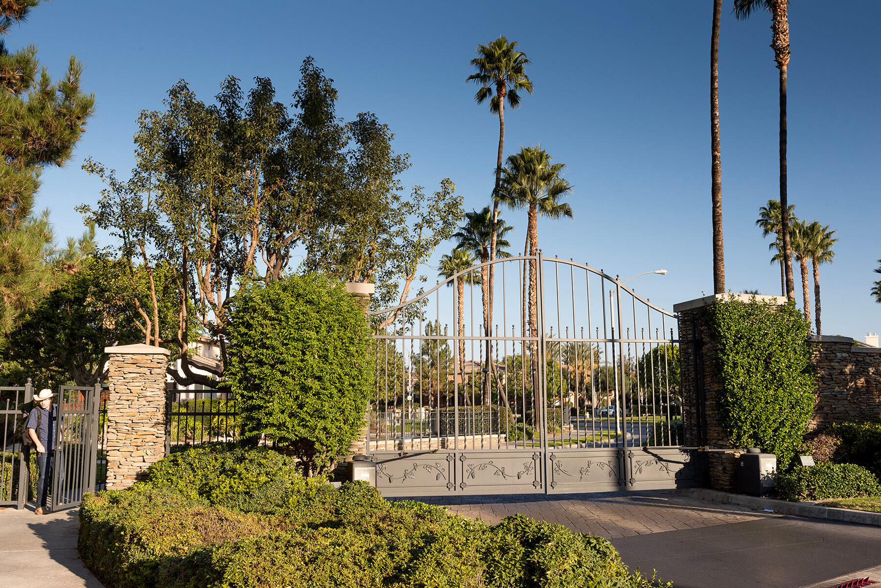 Entrance gate surrounded by palm trees and shrubs.