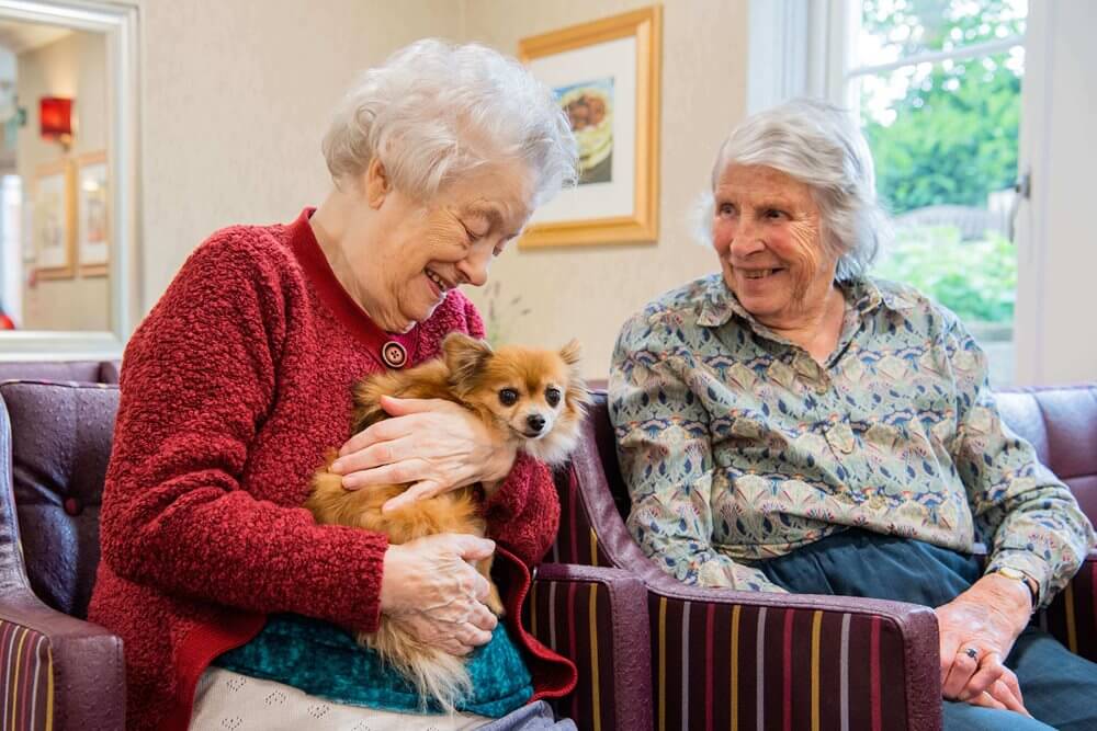 Two elderly women enjoying a small dog in a common area.