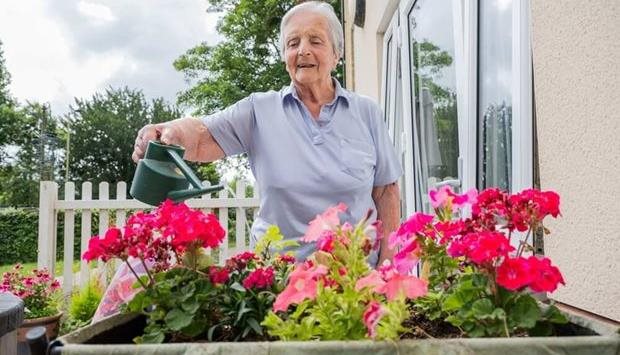 Elderly woman watering flowers in a garden.