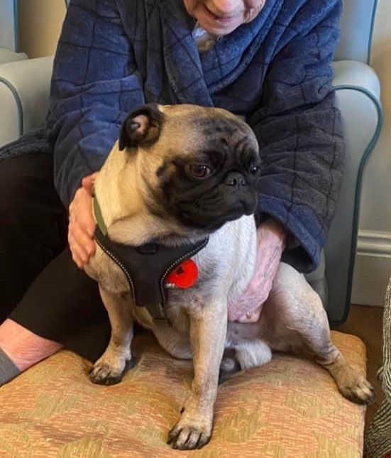 Elderly woman sitting with a pug dog.