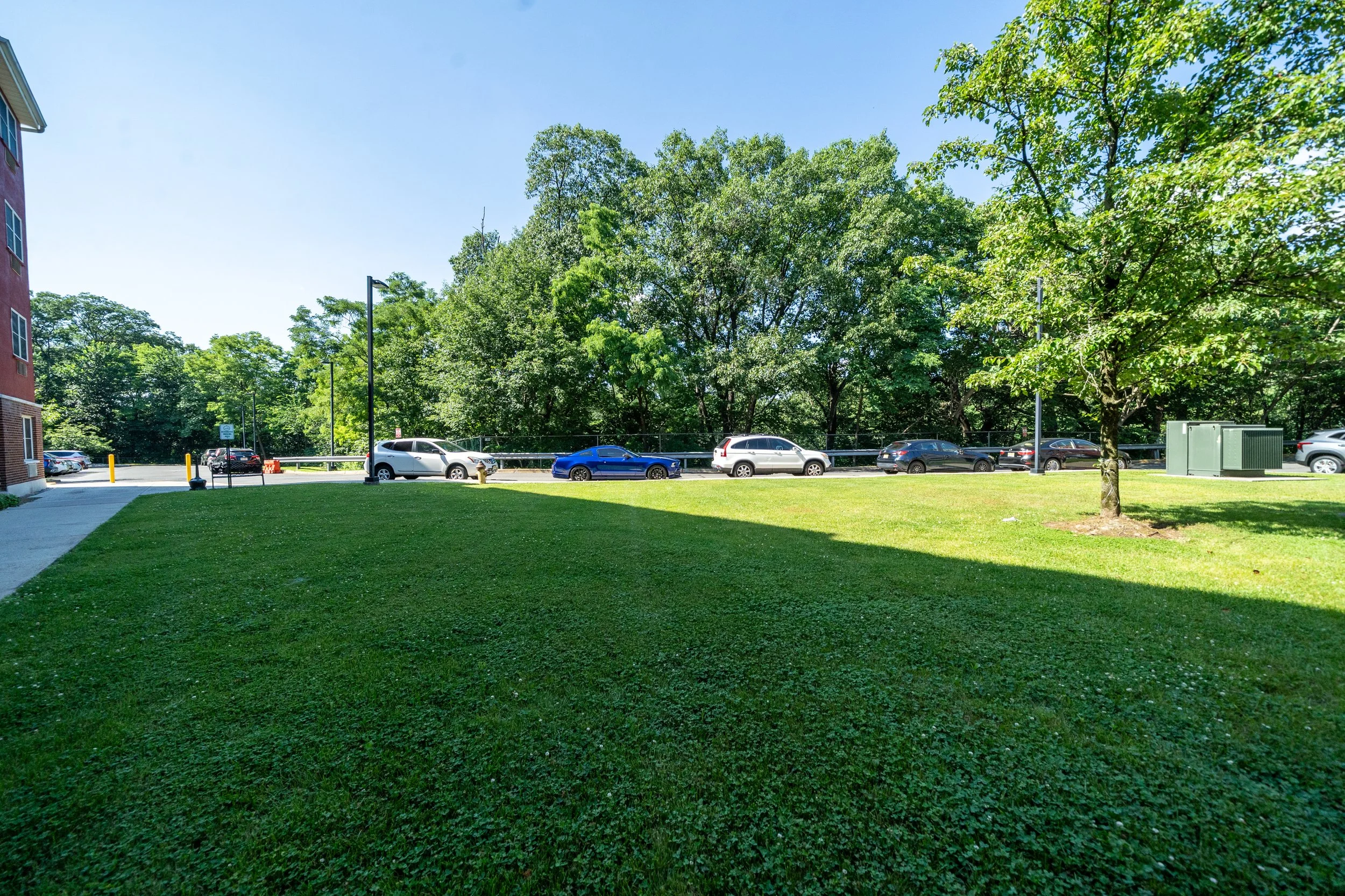 Outdoor view with vehicles and trees