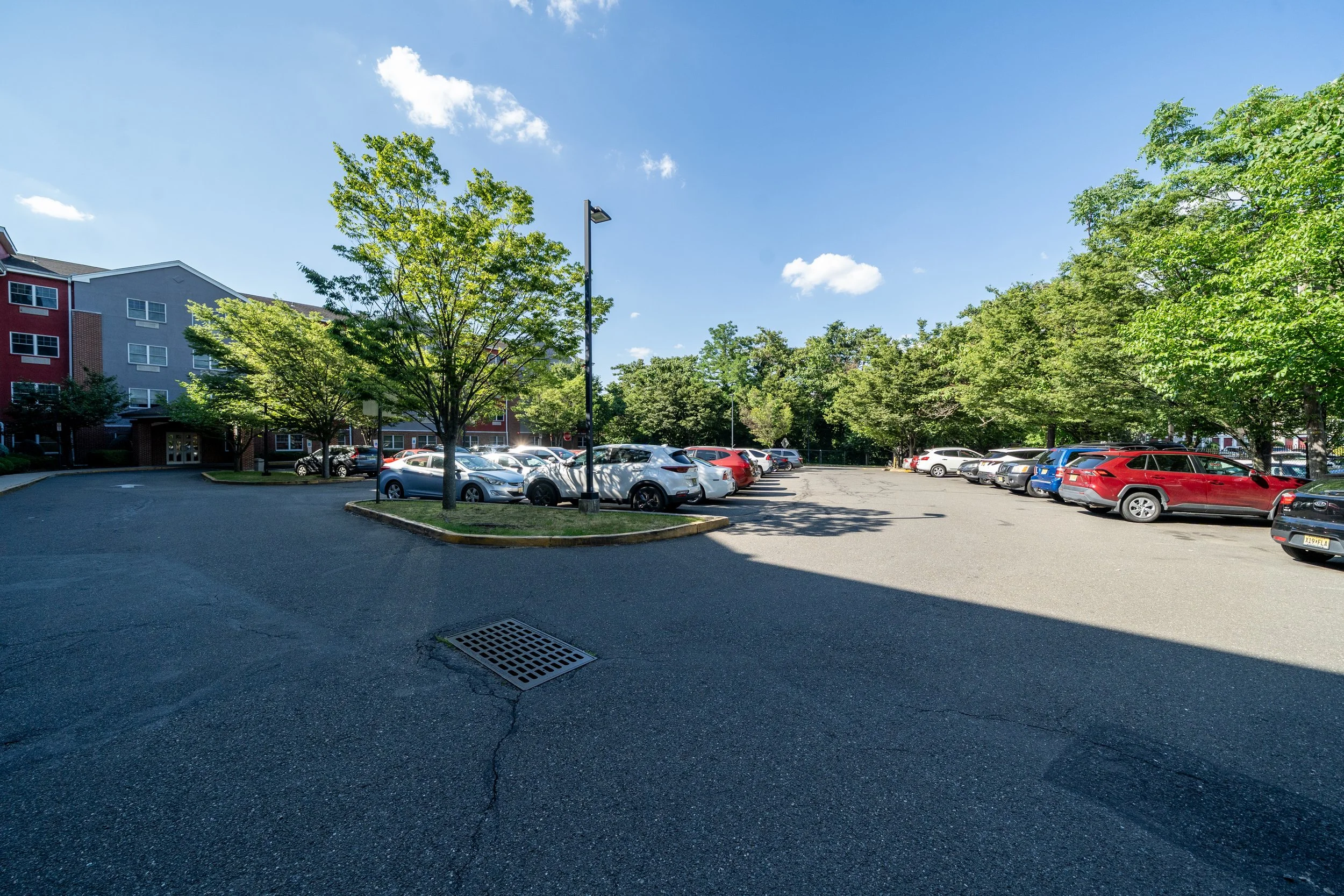 Outdoor parking lot with cars and trees.