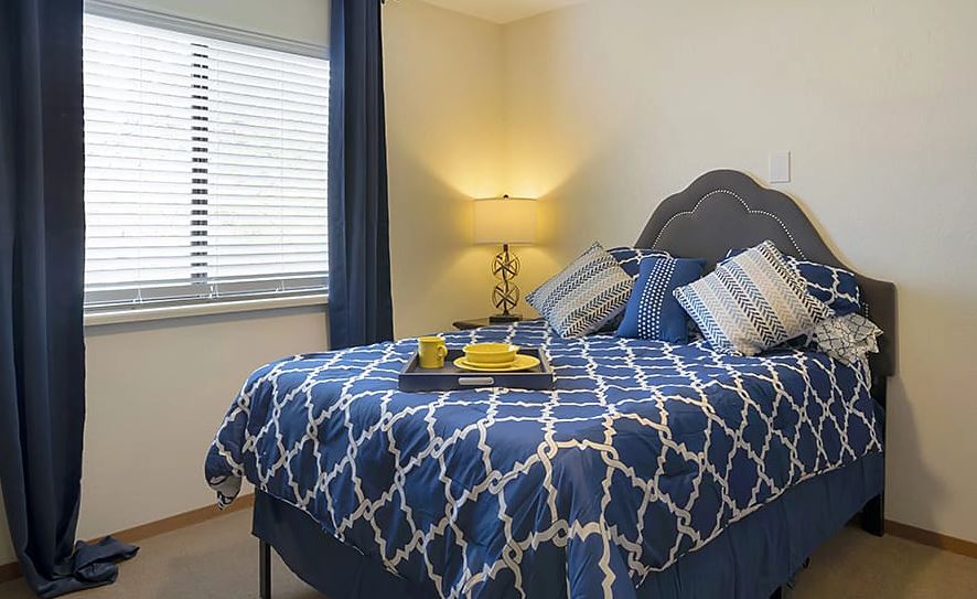 1 Bed