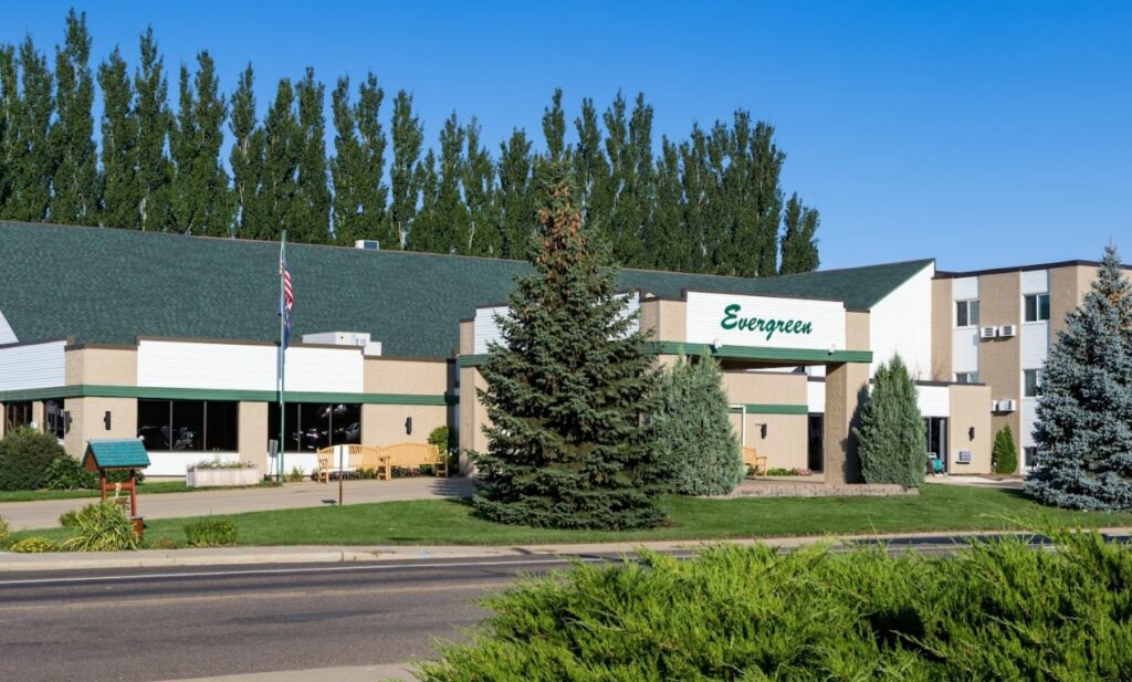 Evergreen in Dickinson