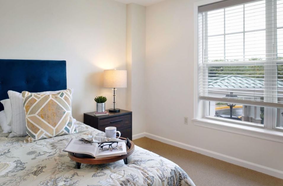 1 Bed