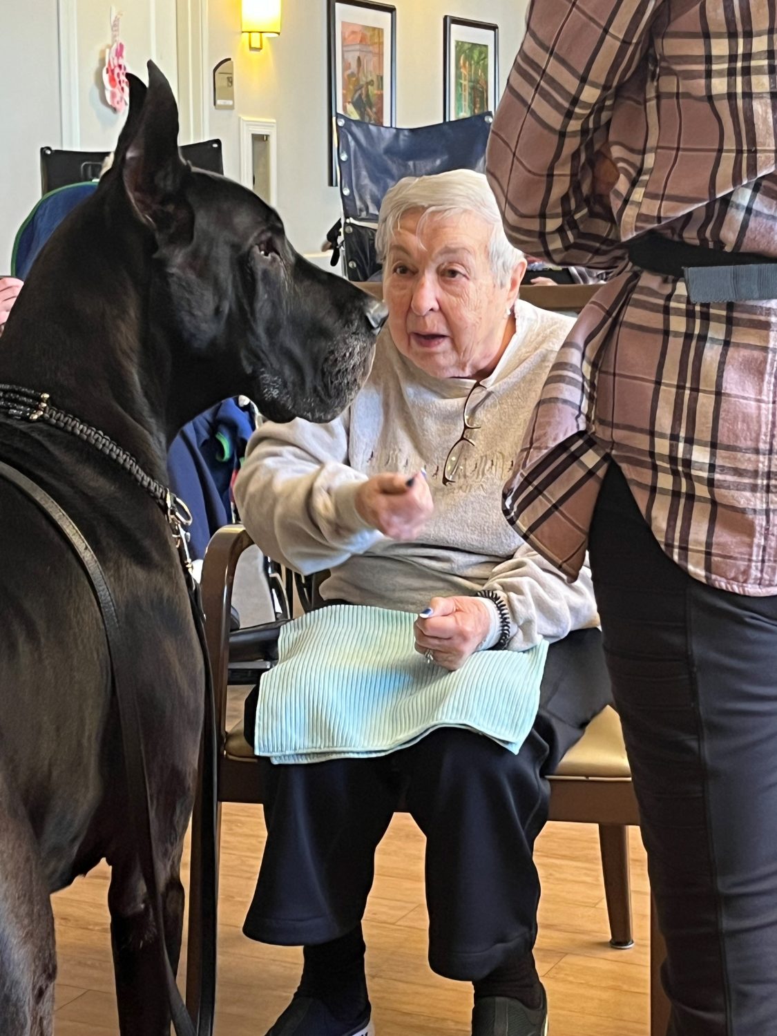 Resident interacting with a large dog in a common area