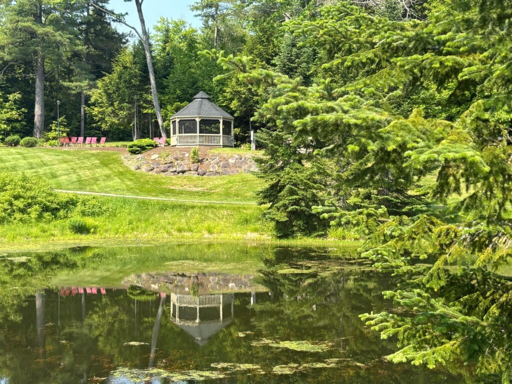Scenic view of gazebo by the pond in a garden
