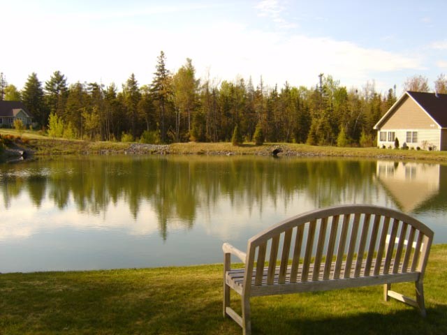 Lakeside bench with reflection of trees and building
