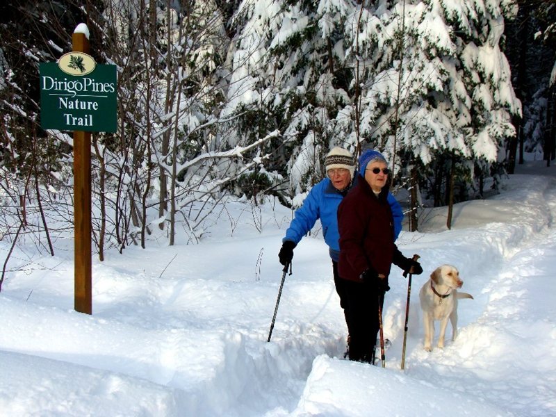 Residents enjoying a snowy nature trail