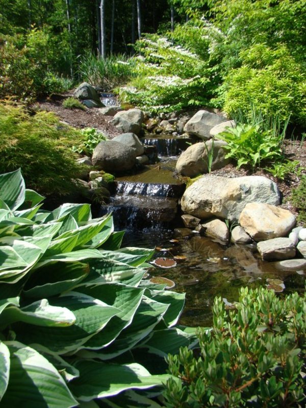A serene garden with a stream and lush greenery