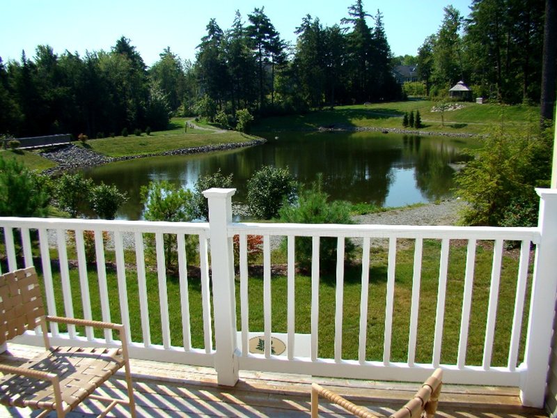 Serene view of a pond and landscaped gardens