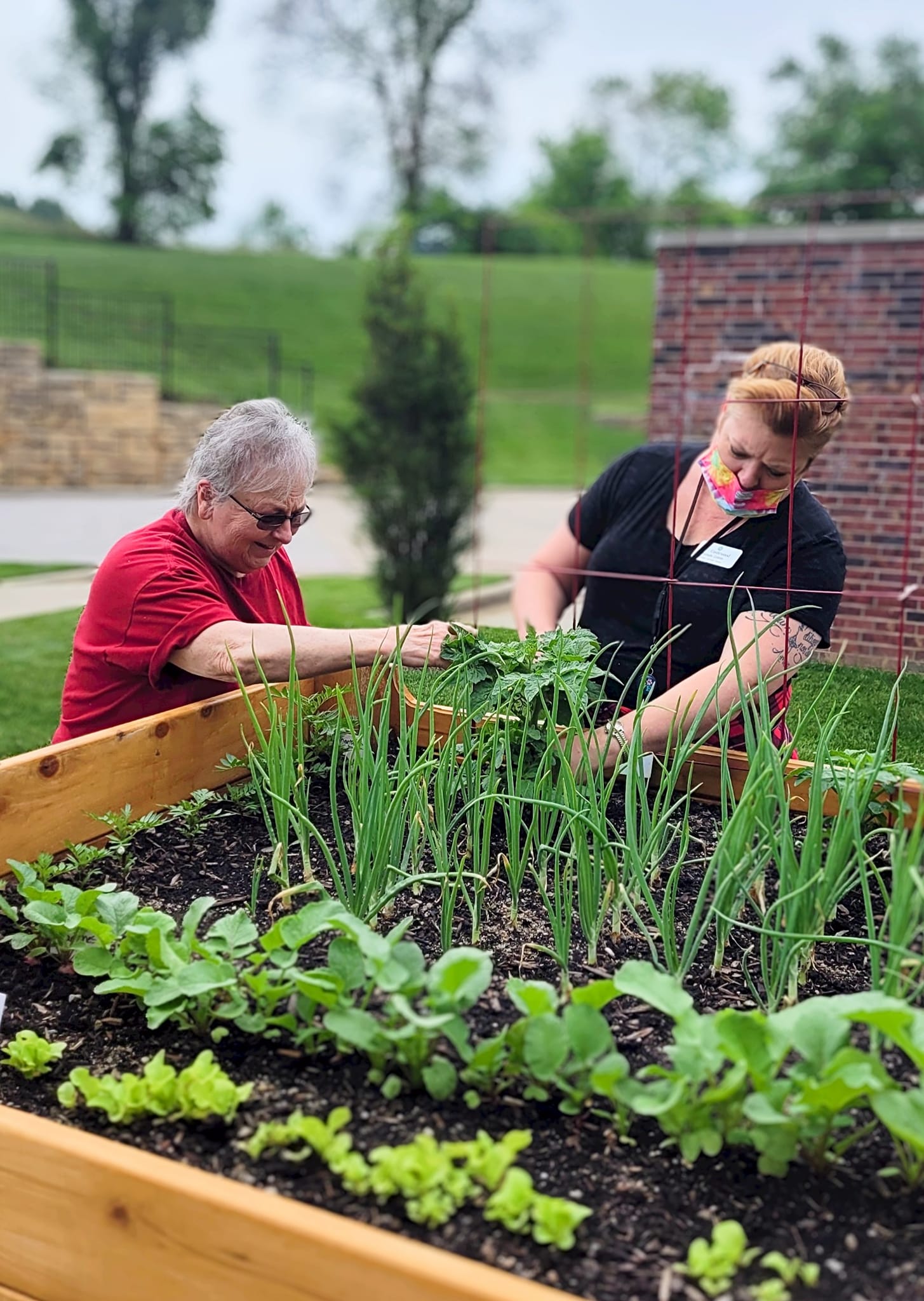 Residents gardening in raised planters at the facility