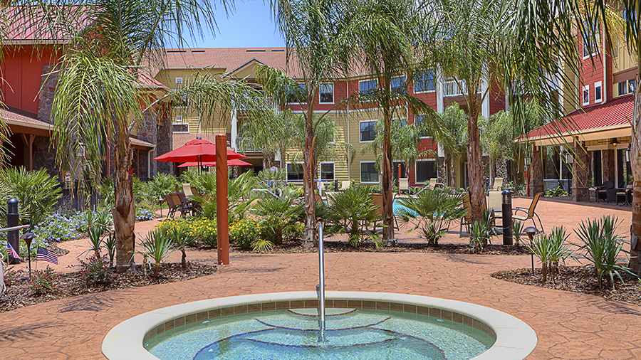 Outdoor courtyard with palm trees and a fountain
