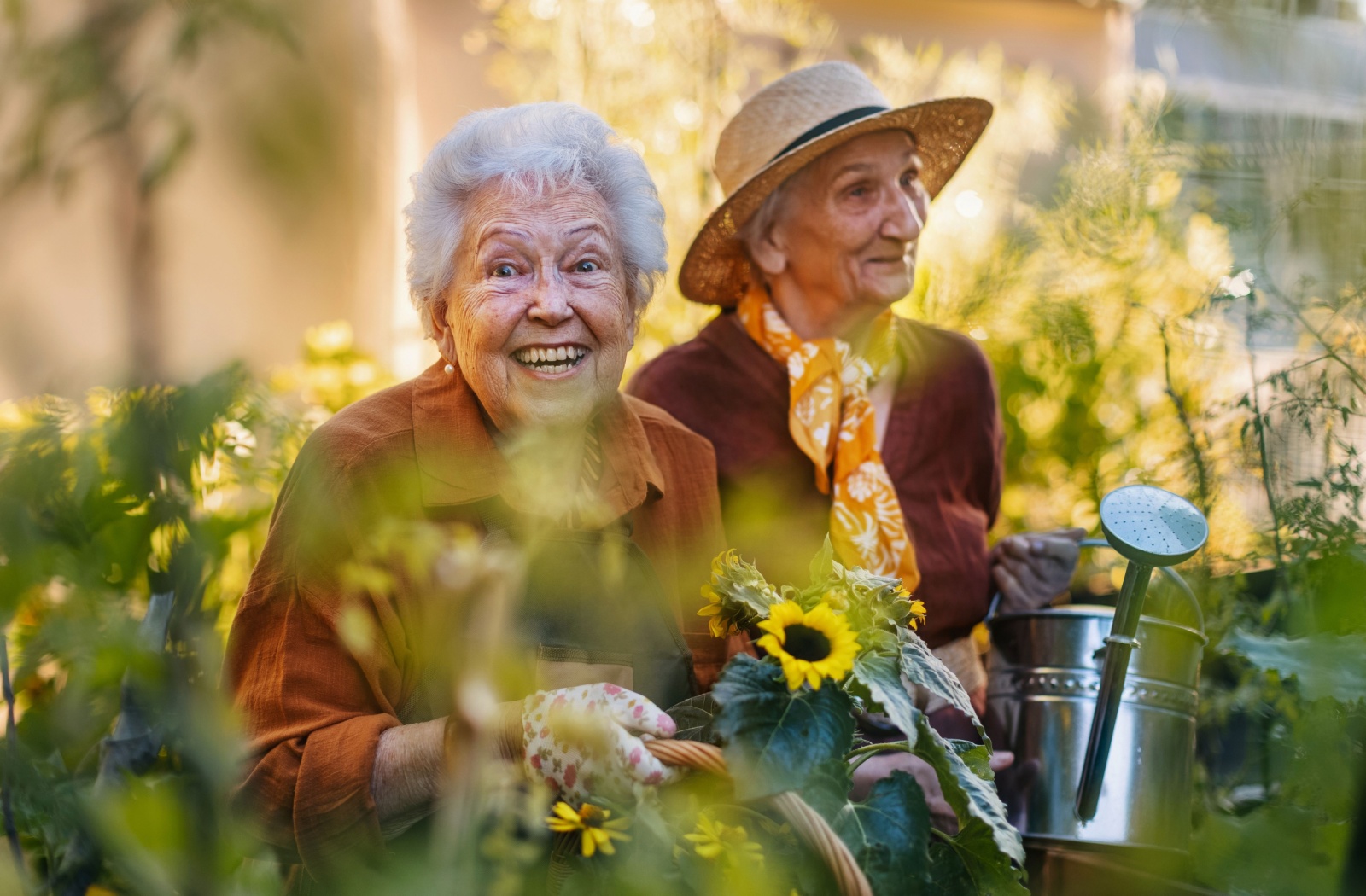 Two seniors gardening with sunflowers in a lively outdoor space