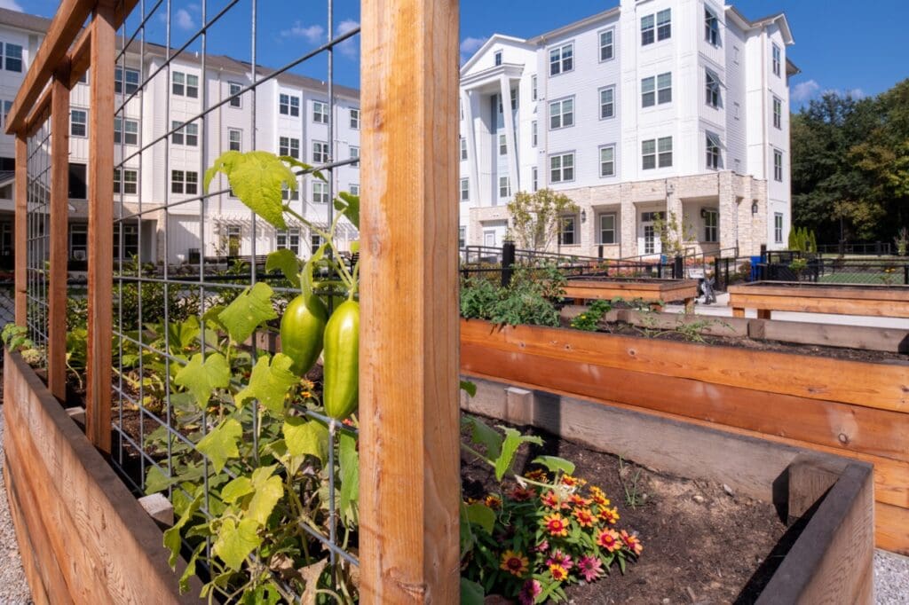 Garden area with raised beds and facility in the background