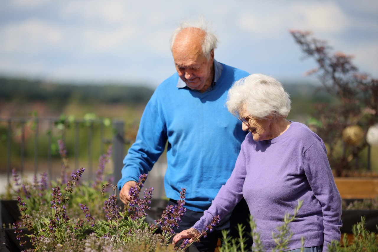 Elderly couple tending to flowers in a garden
