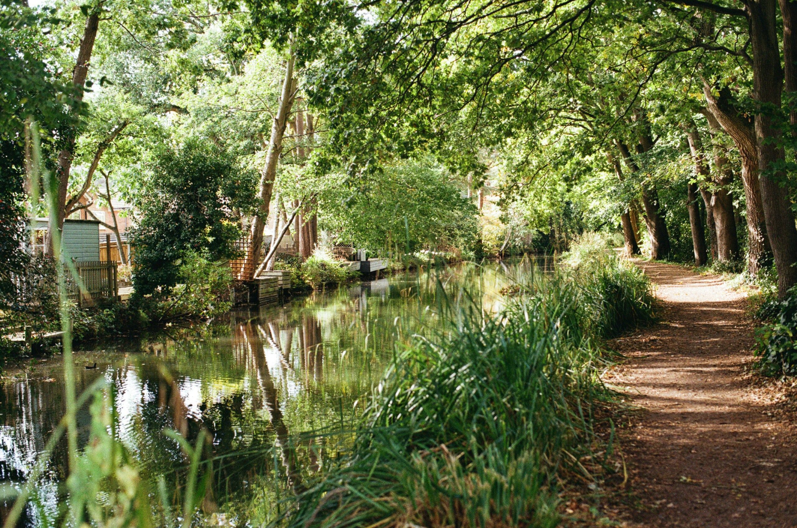 Scenic path along a serene waterway shaded by trees
