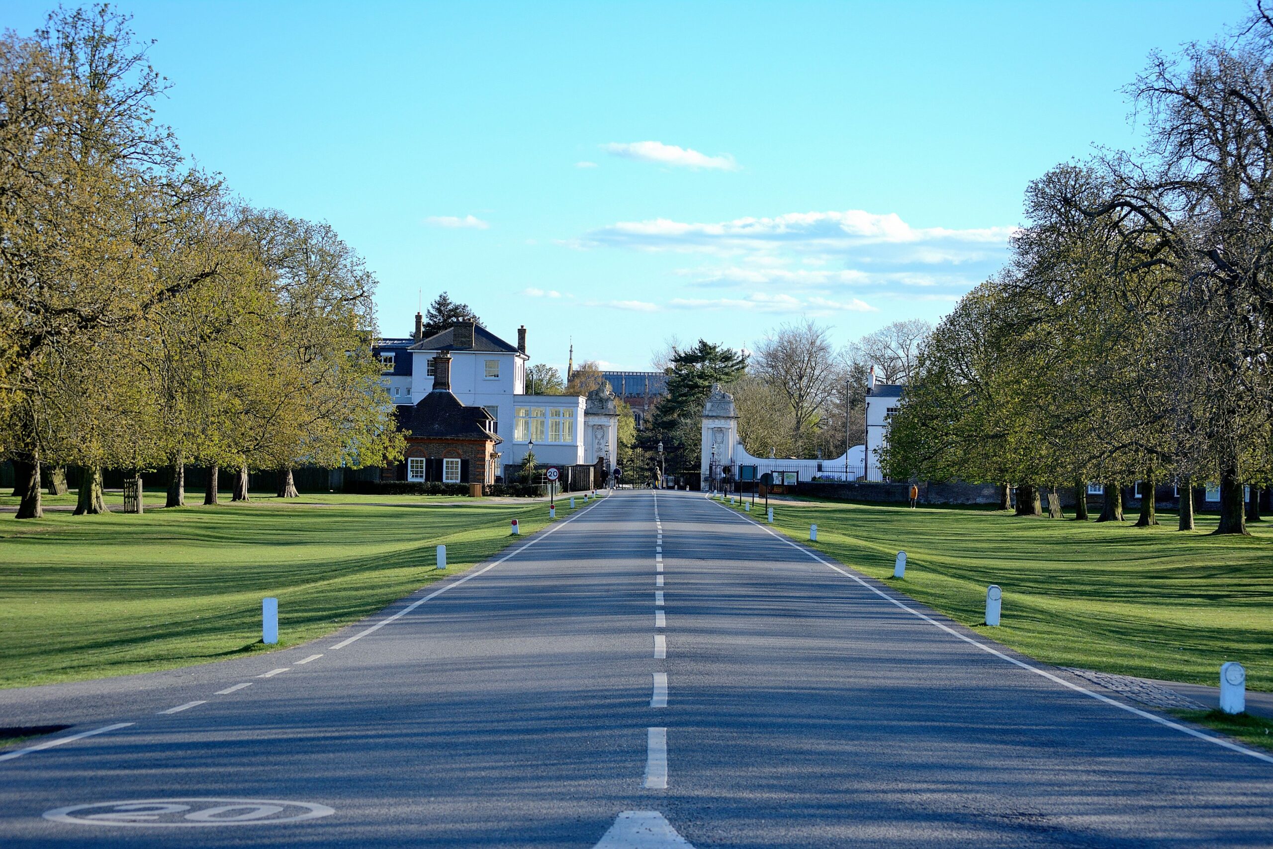 Tree-lined road leading to a building