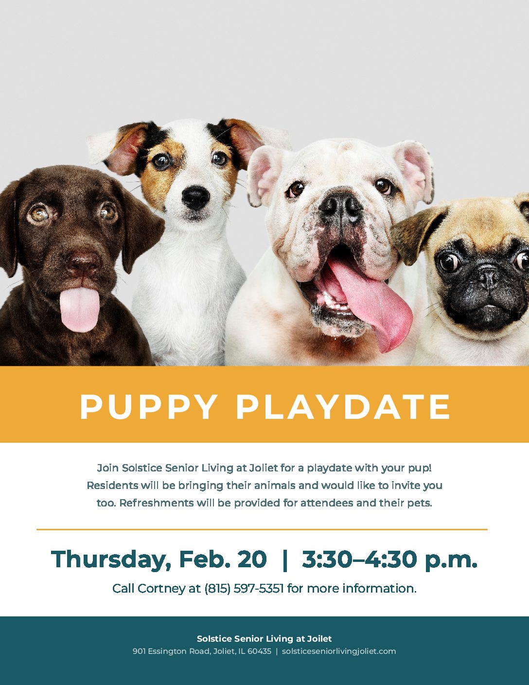 Promotional flyer for a puppy playdate event
