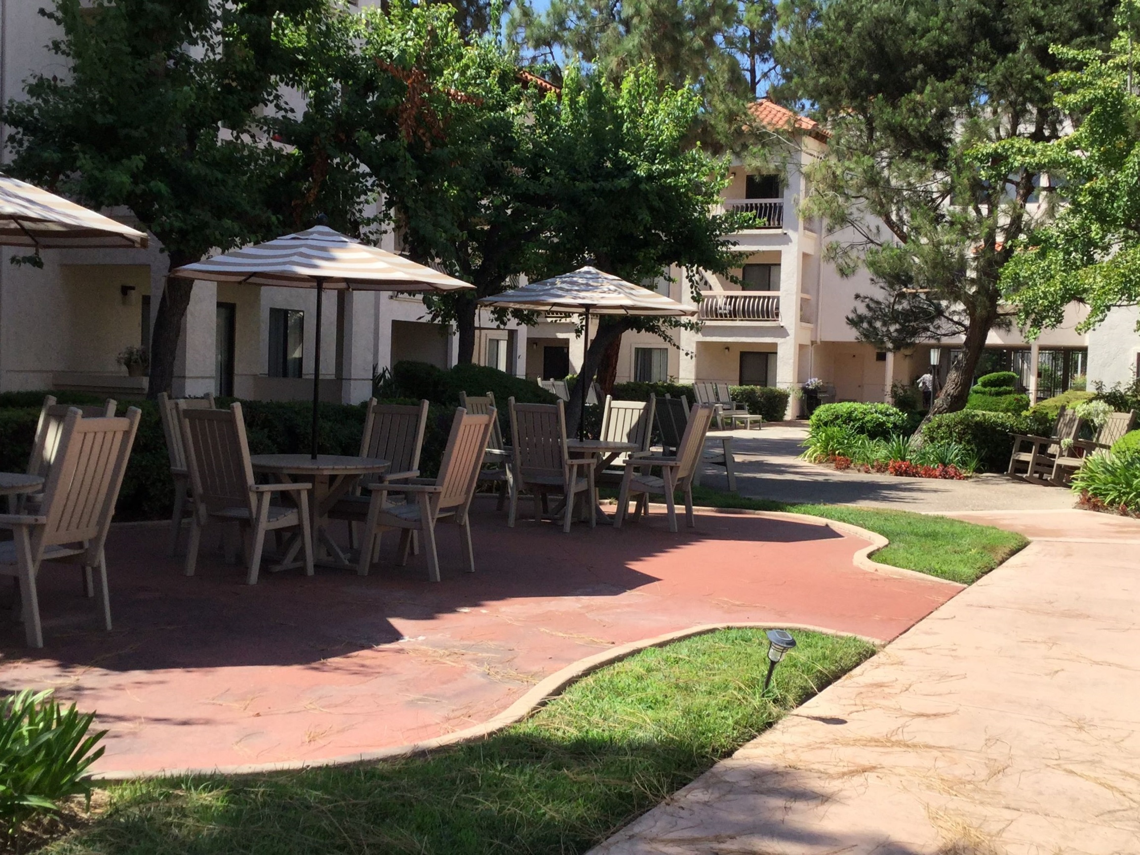 Outdoor seating area with umbrellas and greenery