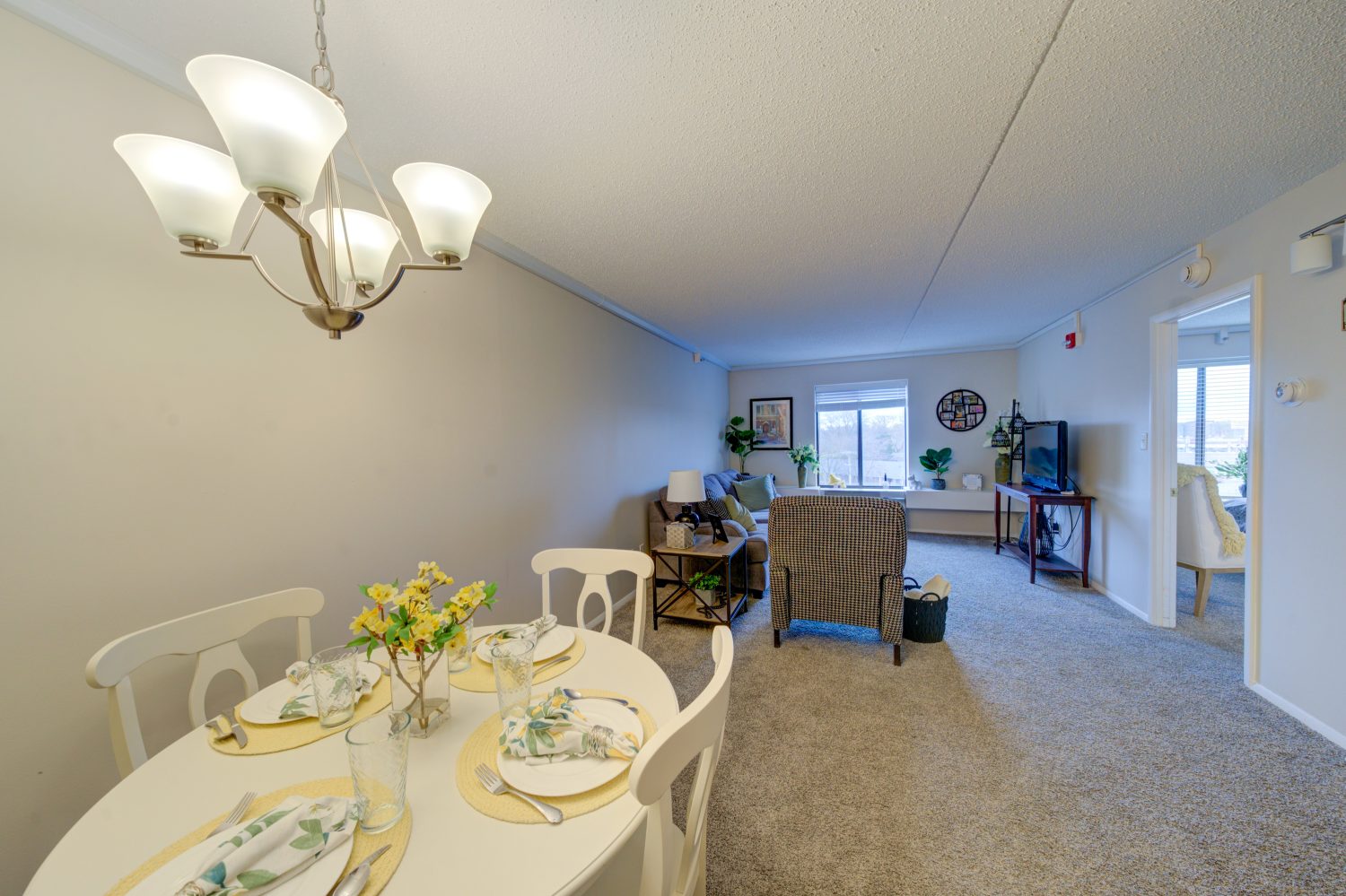 Cozy interior of a living area with dining table