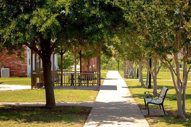 Lush outdoor walking path with benches and trees